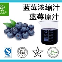 蓝莓浓缩汁 蓝莓原汁 蓝莓原液 规格齐全 优惠价