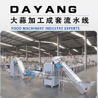 连续式大蒜流水线 全自动大蒜加工生产线 蒜米生产线
