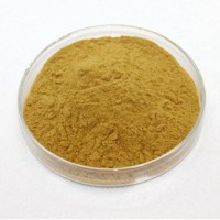 茶树花提取物