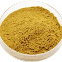 茶树根提取物