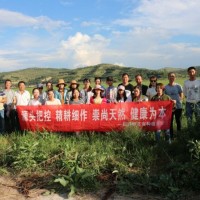维生素C生产厂家