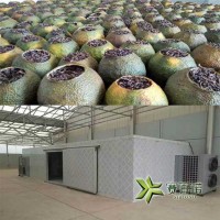 柑普茶烘干机价格_新会柑普茶烘干设备报价