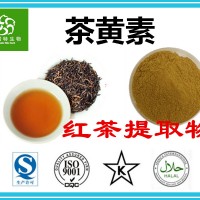 茶黄素10%含量 红茶提取物 红茶粉 现货直销