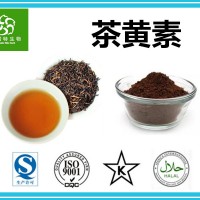 茶黄素60%含量 红茶提取粉 红茶提取物茶黄素 生产厂家