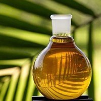 棕榈油长期供应