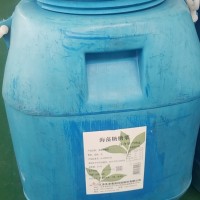 海藻糖糖浆--70kg桶用于冷饮，馅料钟薛高等