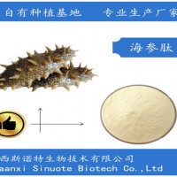 海参肽 海参短肽 85%低聚肽 活性成分高 选肽就选它