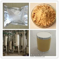 石楠叶提取物