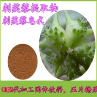 刺蒺藜提取物工厂年产50吨