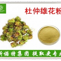 杜仲雄花粉 高倍浓缩 总黄酮含量高  水溶99% 工厂直销