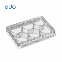 细胞培养板  等离子处理 6孔板 EDO 培养板
