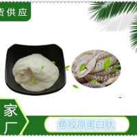 鱼胶原蛋白肽价格