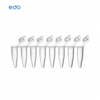 0.2mLPCR8联排管盖 EDO 八连管 孔型平盖 透明管