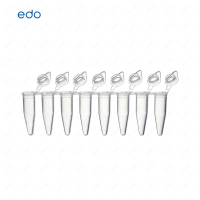 0.1mLPCR8联排管盖 EDO 光学平盖 透明管不可拆卸