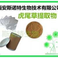 虎尾草浸膏粉 虎尾草粉 100目过筛 斯诺特厂家