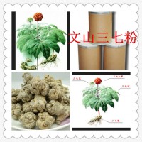 三七粉 三七提取物厂家