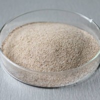 食品级中性蛋白酶酶制剂厂家直销经销商批发价格产品性能