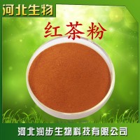 红茶提取物 现货红茶粉 茶黄素 20~70% 保健饮品原料