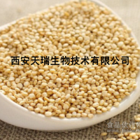 藜麦粉  藜麦代餐粉