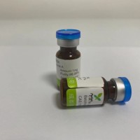 1,3-Disinapoyl sucrose 对照品供应