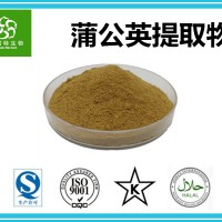 蒲公英提取物 蒲公英全草提取物 蒲公英黄酮 水溶性原料粉