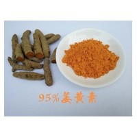 姜黄提取物Curcuma longa extract
