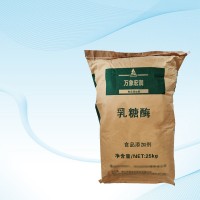 供应乳糖酶 食品级乳糖酶 β-半乳糖苷酶 1万酶活力