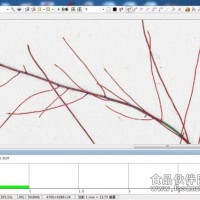LA-S植物根系分析仪系统（独立版）