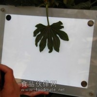 万深LA-S全能型植物图像分析仪