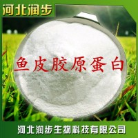 厂家直销鱼皮胶原蛋白使用说明报价添加量用途