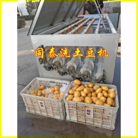 螺旋毛辊土豆清洗机 大产量洗马铃薯机器