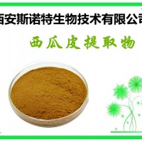 西瓜皮提取物 西瓜皮萃取粉 西瓜皮粉 包邮