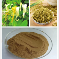 金银花提取物 主要成分绿原酸