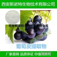 葡萄皮提取物 水溶性白藜芦醇 10% 红酒原料