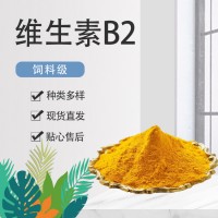 新发维生素B2核黄素粉末食品级食品饮料钓鱼营养强化剂