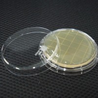 表面接触皿TSA卵磷脂吐温80日水生物