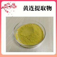 黄连提取物  黄连素