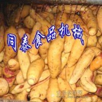 洗番薯机，红薯片红薯条加工设备