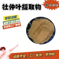 杜仲提取物  绿原酸25%