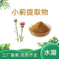 小蓟提取物 速溶小蓟粉 药食同源 斯诺特生物