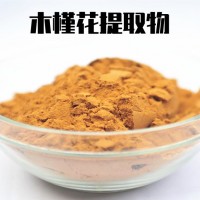 木槿花提取物 浓缩萃取粉 规格多样