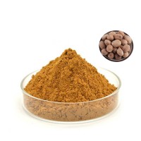 肉豆蔻提取物 源头原料 包邮纸板桶