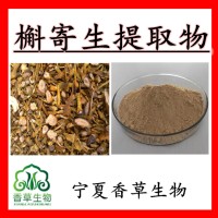 槲寄生提取物厂家 槲寄生速溶粉 北寄生提取物