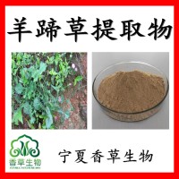 羊蹄草提取物浸膏粉羊蹄草提取液97%土大黄提取物