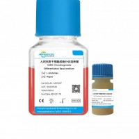 AC-1001027人间充质干细胞成骨分化试剂盒，埃泽思生物