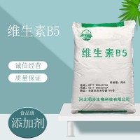 维生素B5价格 维生素B5厂家