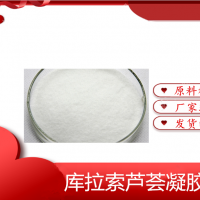 库拉索芦荟凝胶粉现货食品添加