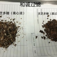 灵芝、香菇多糖提取设备-植物多糖提取生产线