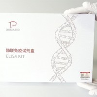 牛C反应蛋白ELISA试剂盒