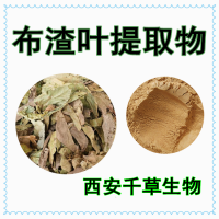 破布树提取物破布树浓缩粉破布树浸膏粉
